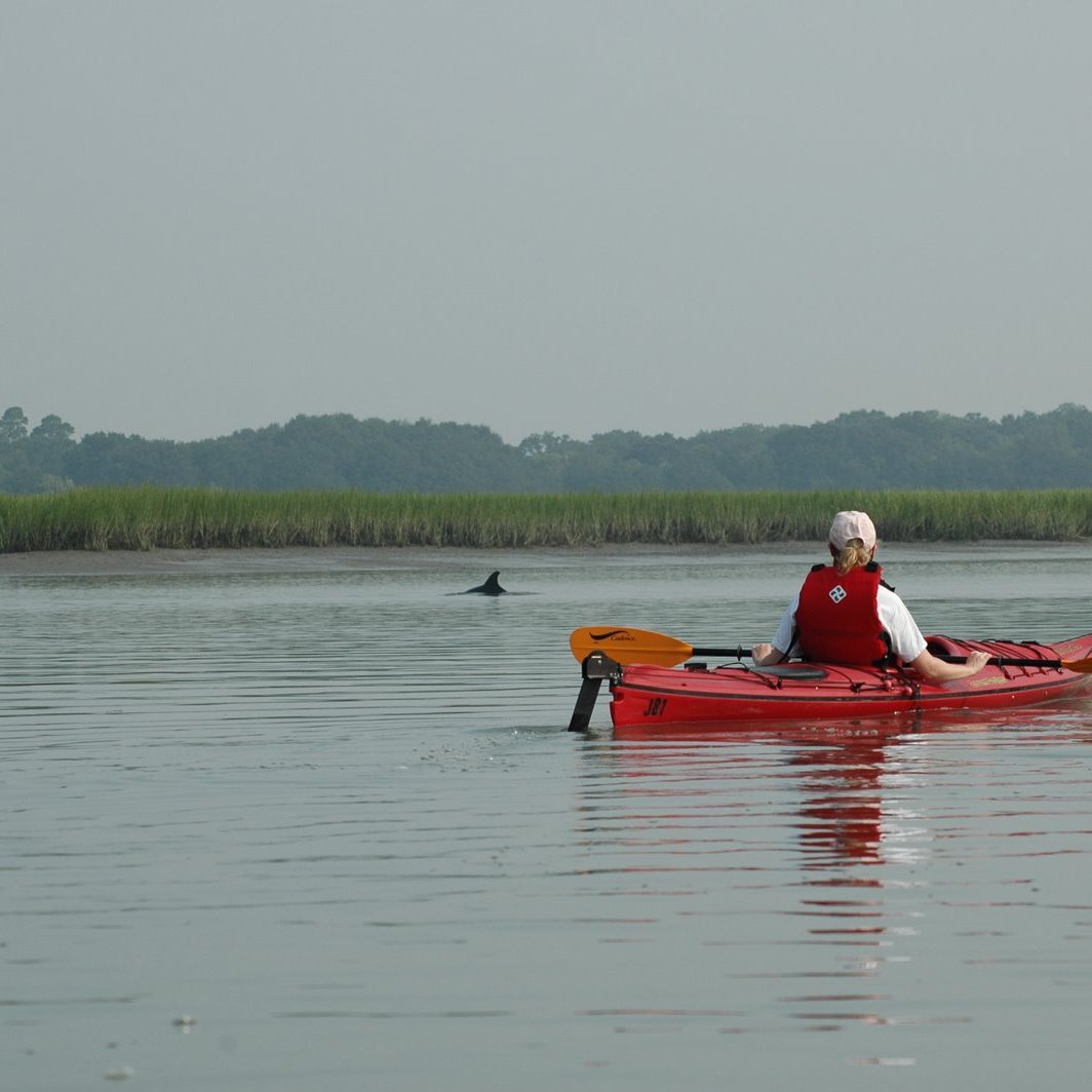 St. Helena Kayak Tour Coastal Expeditions Beaufort