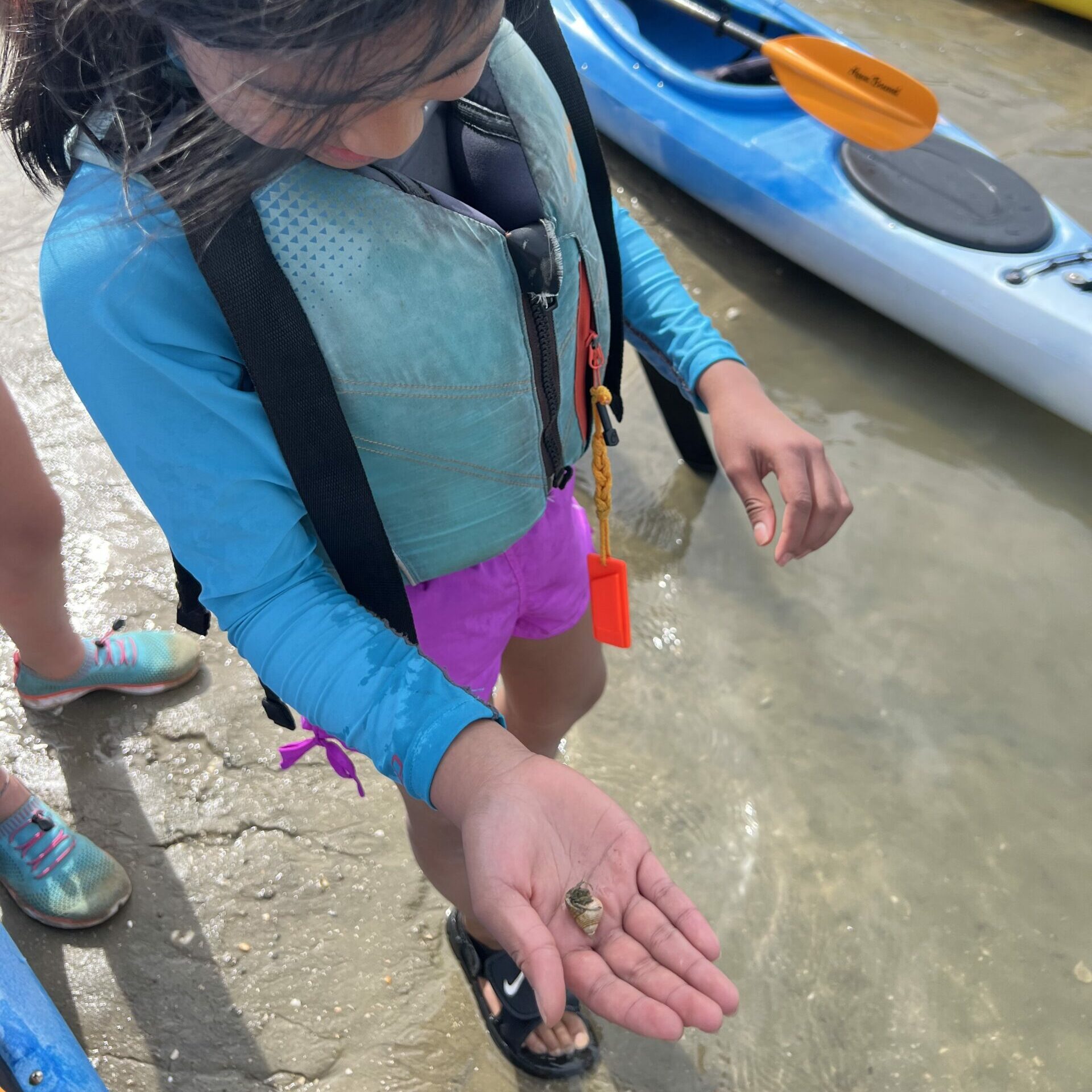 kids learn about the lowcountry in coastal discovery camp